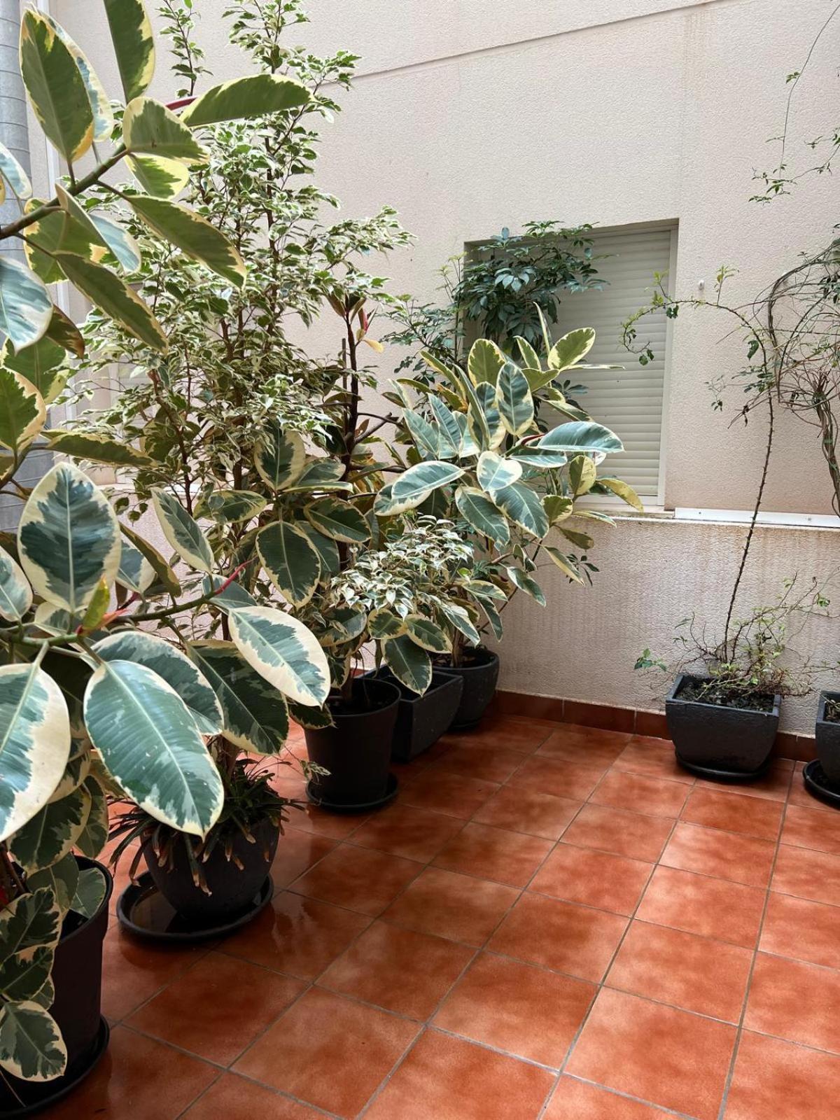Pura Vida Apartment Águilas Екстериор снимка